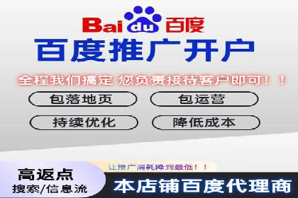 百度竞价包年推广策略——某行业巨头的成功经验